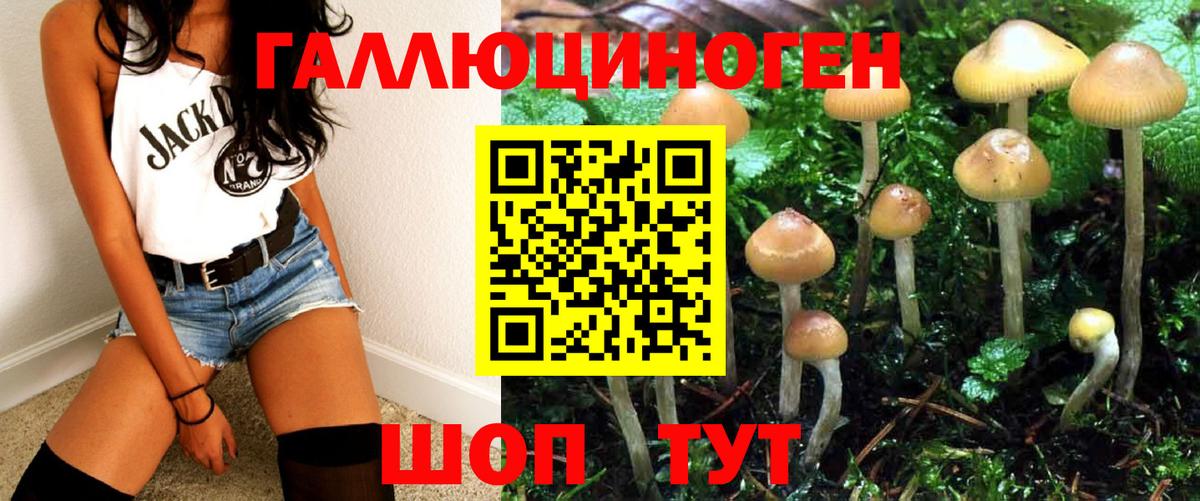 Омск  Псилоцибиновые грибы Psilocybe  Вход с VPN  Галлюциногенные грибы мицелий 
